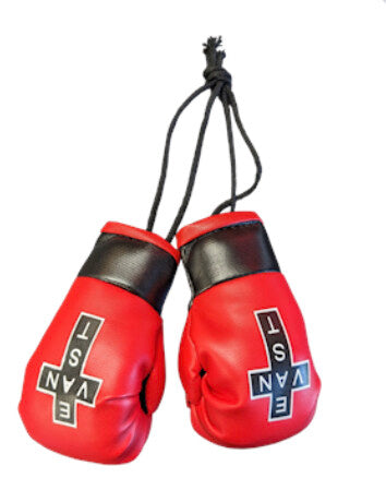 EVC Boxing Gloves Car Hanger - Red