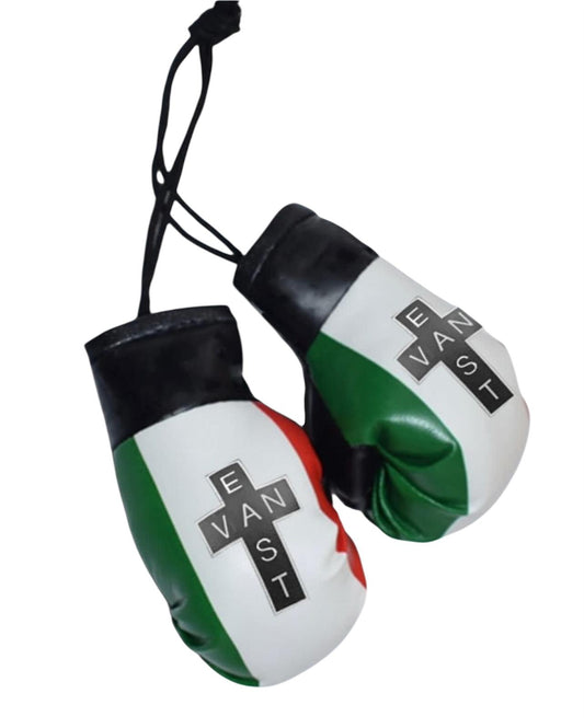 EVC Boxing Gloves Car Hanger - Red